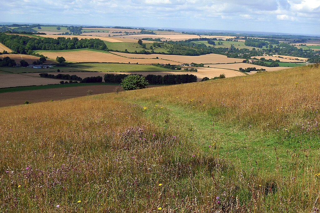 benjgibbs, CC BY 2.0 , via Wikimedia Commons