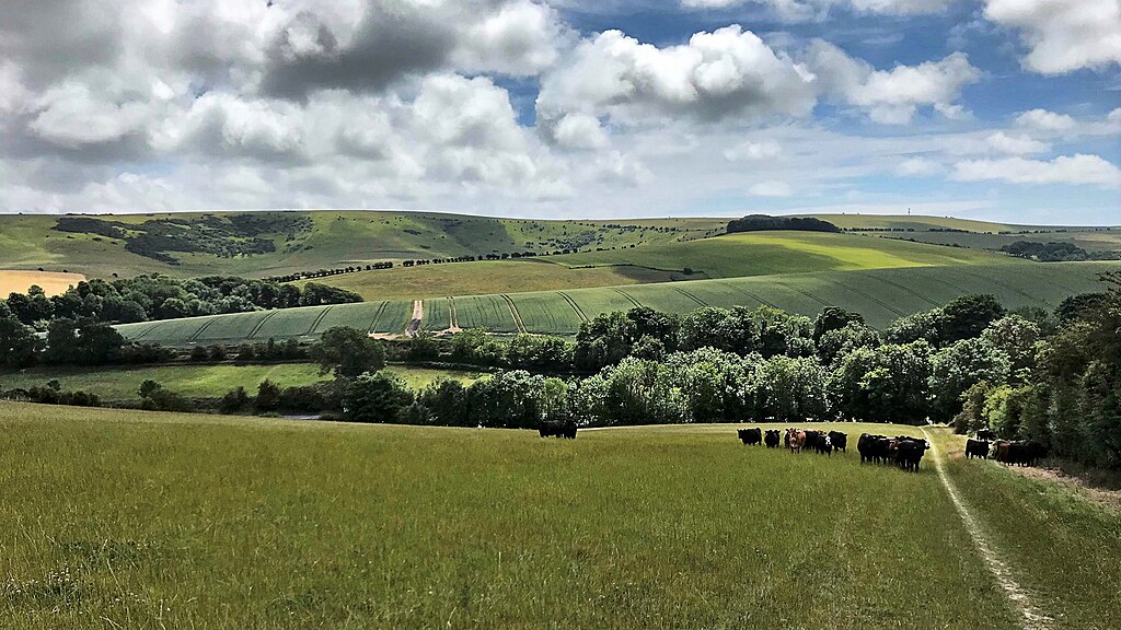 View south from the path east of Housedean Farm