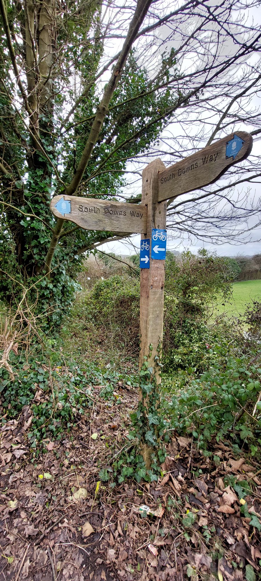 South Downs Way National Trail signpost
