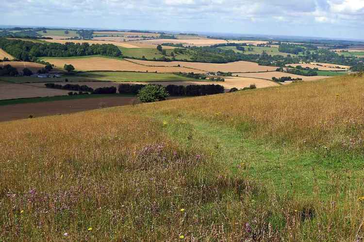 benjgibbs, CC BY 2.0 , via Wikimedia Commons