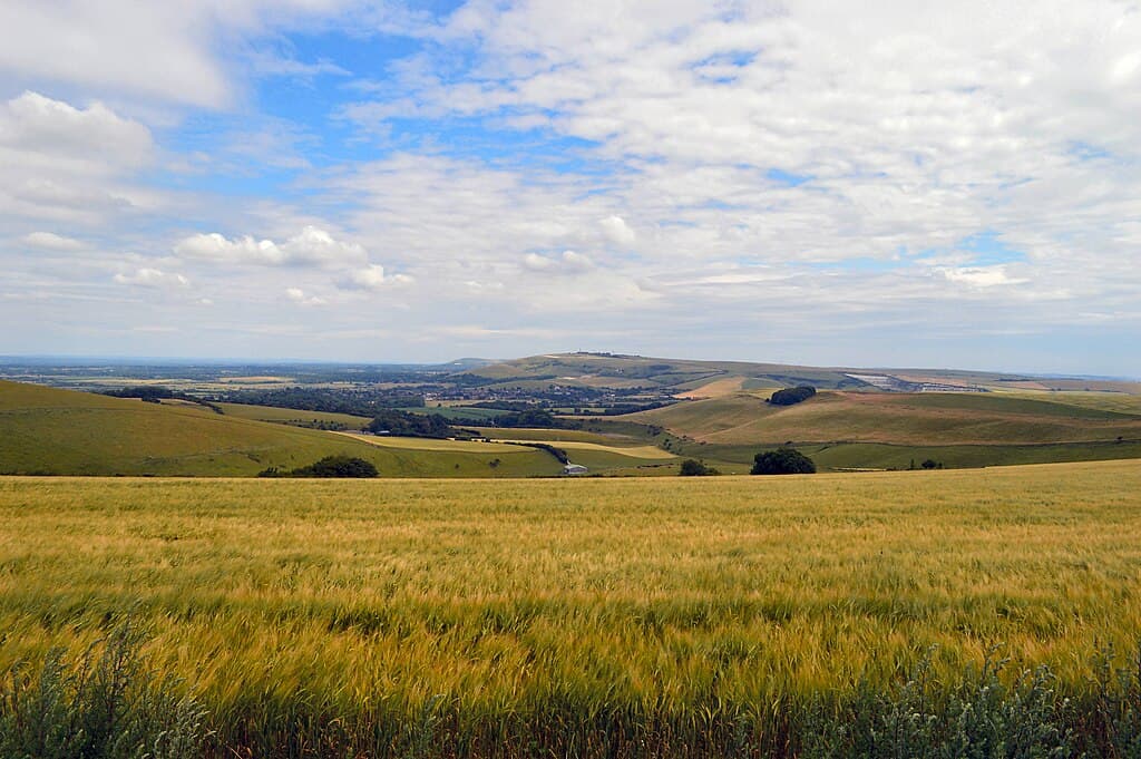 South Downs Way