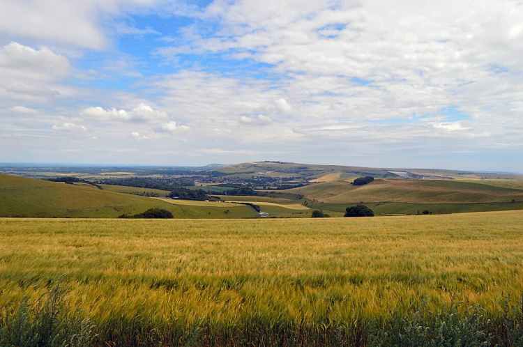 South Downs Way