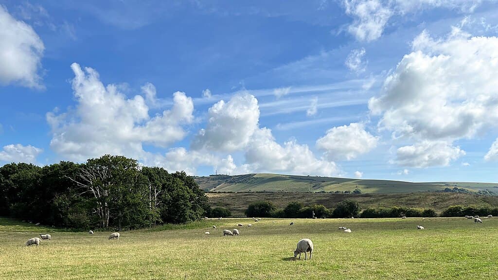 View SE towards Truleigh Hill