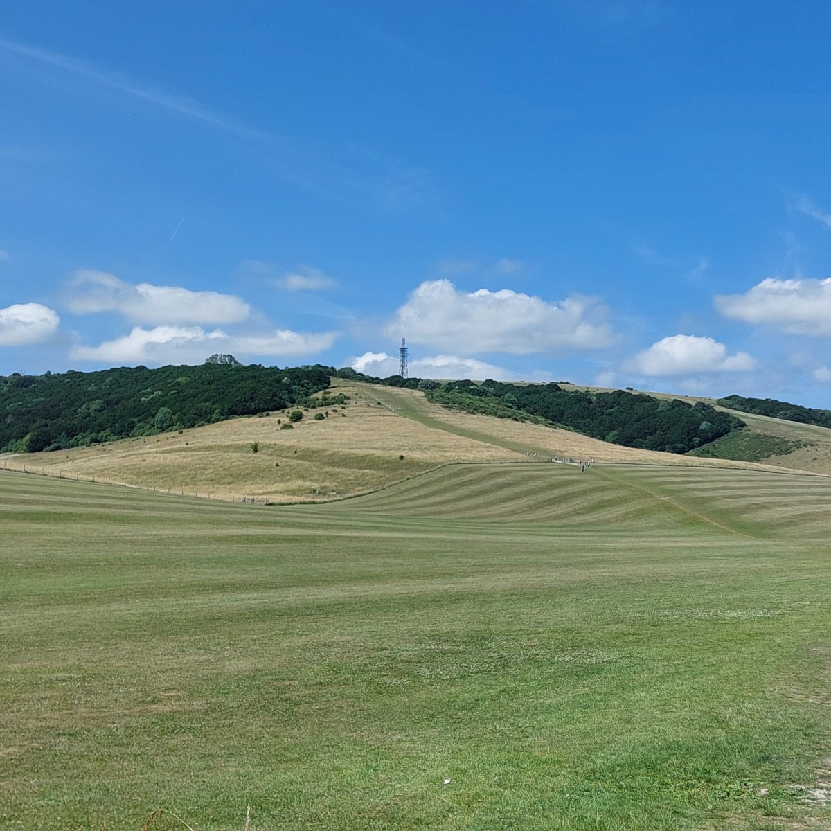 Day 2 Exton to&nbsp;Buriton