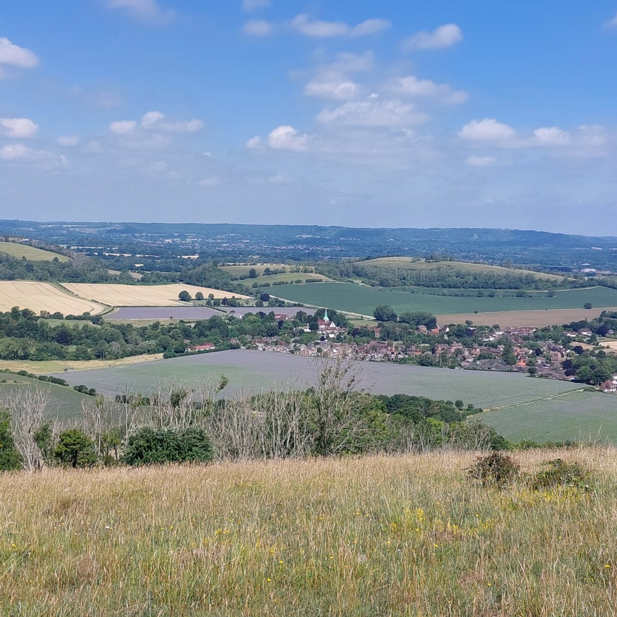 Day 3 Buriton to&nbsp;Cocking