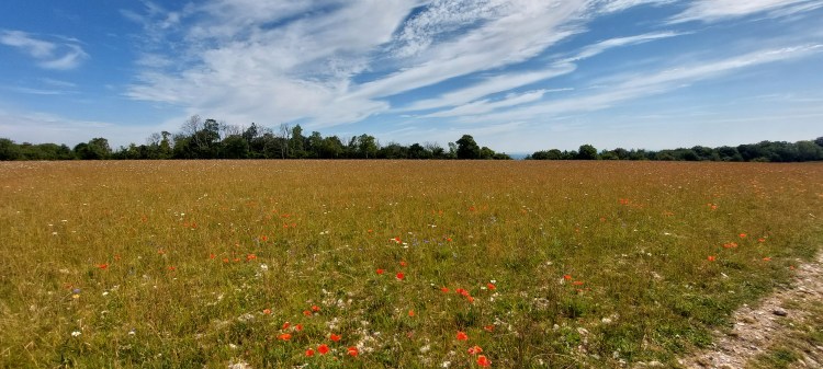 Day 4 Cocking to&nbsp;Amberley