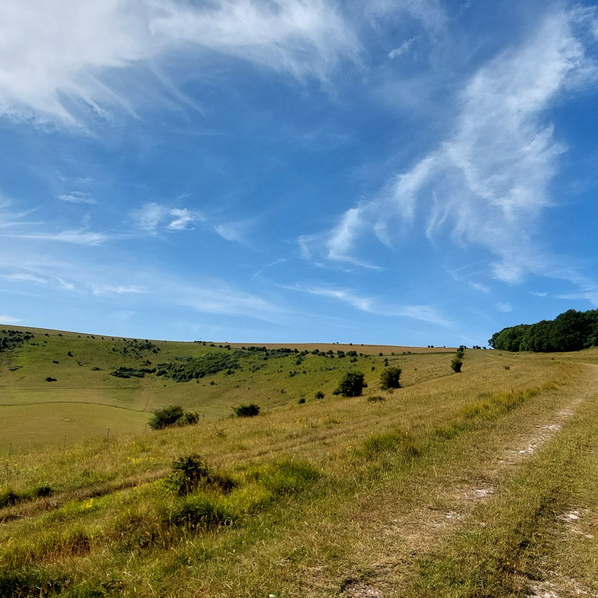 Day 7 Housedean Farm to&nbsp;Alfriston