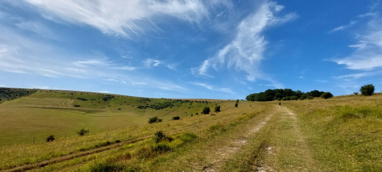 Day 7 Housedean Farm to&nbsp;Alfriston